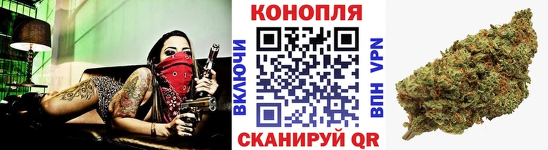 Бошки Шишки гибрид  где продают   Красновишерск 